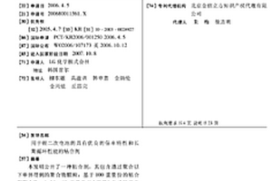 用于锂二次电池的具有优良的倍率特性和长期循环性能的粘合剂