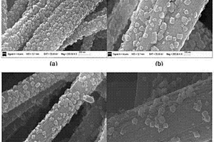 碳纳米纤维负载钛酸锂薄膜材料及其制备方法