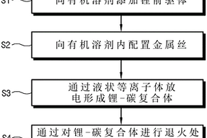 在内部形成空洞的锂-碳复合体及其制造方法