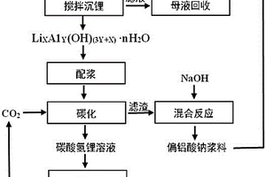 硫酸锂溶液吸附碳化制备高纯碳酸锂的方法