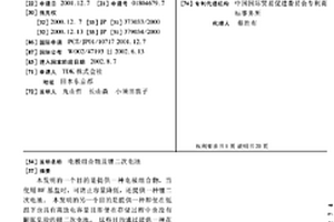 电极组合物及锂二次电池