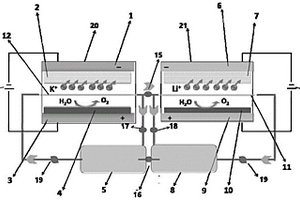 分级电化学海水提钾和锂的装置和方法