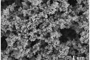 铁酸镧光电极及其制备方法和在锂-氧电池中的应用