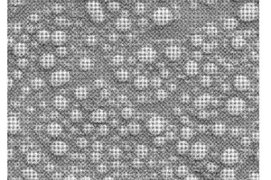 三维结构泡沫金属/磷酸铁锂一体电极、其制备方法及以其为正极极片的锂离子电池