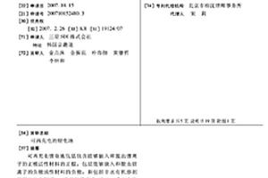 可再充电的锂电池