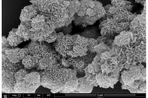 珊瑚形貌钒酸锂纳米材料的制备方法