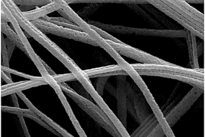 四氧化三钴‑FTO纳米线锂电池负极材料及制备方法