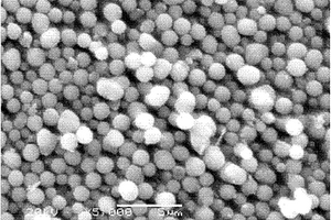 球形钛酸锂材料的制备方法