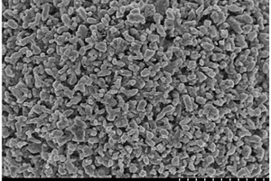磷酸铁锂/碳纳米复合材料及其制备方法