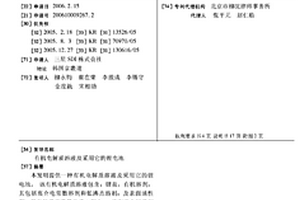 有机电解质溶液及采用它的锂电池