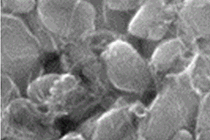 磷酸铁锂材料及其制备方法