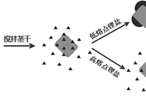 锂盐掺合纳米碳酸钙的二氧化碳吸附剂前驱体及其应用