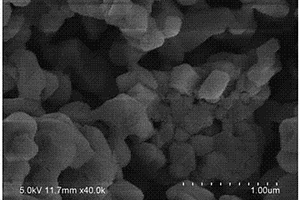 钛酸锂/碳/钼纳米颗粒复合材料的制备方法