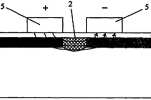 双偏振模铌酸锂直条波导相位调制器及其制备方法