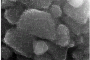 二维纳米金属氧化物复合涂层锰酸锂正极材料及其制备方法