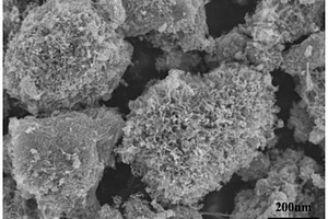 钛酸锂/板钛矿复合物及其制备方法和应用