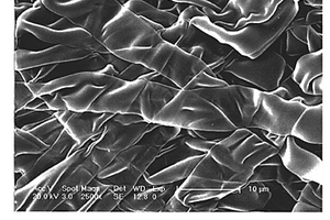 锂离子电池正极材料磷酸铁锂纳米带及其制备方法