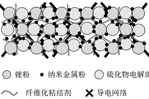 锂金属负极层及其制备方法和应用