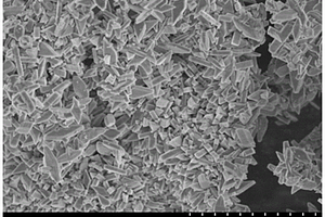 薄片状磷酸铁锂正极材料及其水热法制备方法