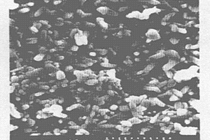 二氧化锡-钒酸锌锂复合棒状晶粒湿敏陶瓷材料及制备方法