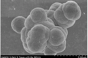 绒球状SnS2锂离子电池负极材料的制备方法