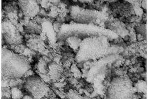 掺硫富锂锰系锂吸附剂及其制备方法和应用