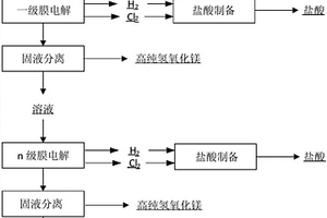 膜电解从高镁锂比盐湖卤水中分离镁和富集锂的方法