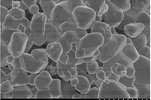 高容量的钛酸锂-铁酸锌的复合负极材料及其制备方法