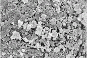 磷酸锰锂正极材料的自组装制备方法以及磷酸锰锂正极材料