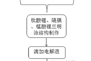 柔性锂离子电池及网络状钛酸锂电极结构的制备方法