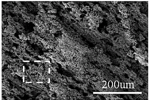 三维微纳米复合多孔铁锡-铁锡氮化合物一体化锂离子电池负极及其一步制备法