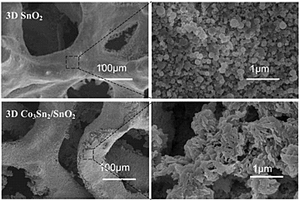 锂离子电池用三维Co<sub>3</sub>Sn<sub>2</sub>/SnO<sub>2</sub>负极材料及其制备方法