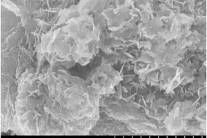 锂离子电池负极材料碳掺杂钛酸锂的制备方法