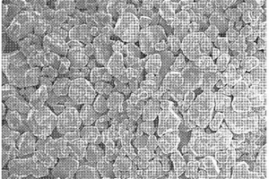 锂离子二次电池正极材料大粒径钴酸锂的制备方法
