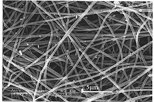 锂离子电池正极材料磷酸铁锂纳米纤维及其制备方法