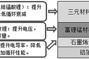 锂电池正极极片及其制备方法与采用该正极极片的锂电池