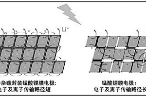 用于溶存锂资源电化学提取的氮掺杂碳封装锂离子筛膜电极