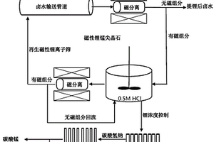 从卤水中提取锂并制备高纯锂浓液的方法