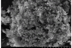 循环稳定的锂离子电池负极材料氟掺杂钒酸锂的制备方法