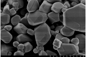 掺钽钛酸锂负极材料的制备方法及掺钽钛酸锂负极材料和锂离子电池