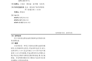 用于可再充电锂电池的负极和包括其的可再充电锂电池