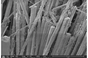 磷钼酸锂纳米棒锂电池正极材料及其制备方法和应用
