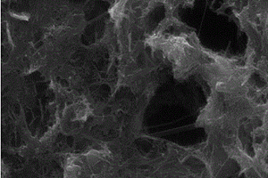 石墨化碳纳米管柔性膜作锂硫电池集流体制备锂硫电池的方法