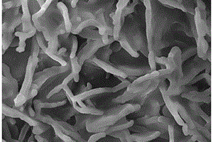 磷酸铁锰锂-二硫化钨纳米片锂电池正极材料及制备方法