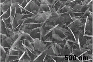 锂离子电池负极材料Li4Ti5O12/TiO2纳米片阵列及其制备方法和应用
