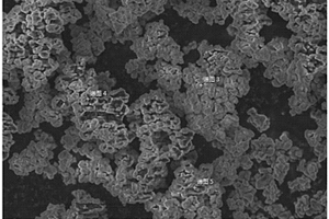 锂离子电池多孔碳包覆钛酸锂负极材料的制备方法、制备的负极材料及以其为负极的电池