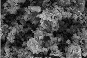 碳包覆磷酸钴锂‑磷酸铁锂复合正极材料及其制备方法及应用