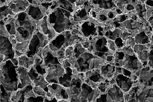 高韧性锂离子筛复合水凝胶膜及其制备方法和在海水提锂中的应用