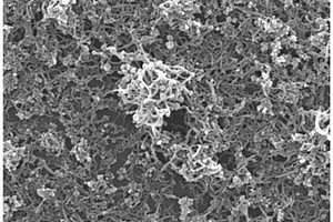 SiO<Sub>x</Sub>纳米线及其制备方法和作为锂离子电池负极的应用