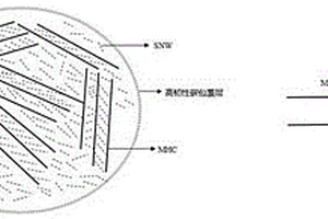 掺硅补锂技术方案及其锂离子电池的组装方法